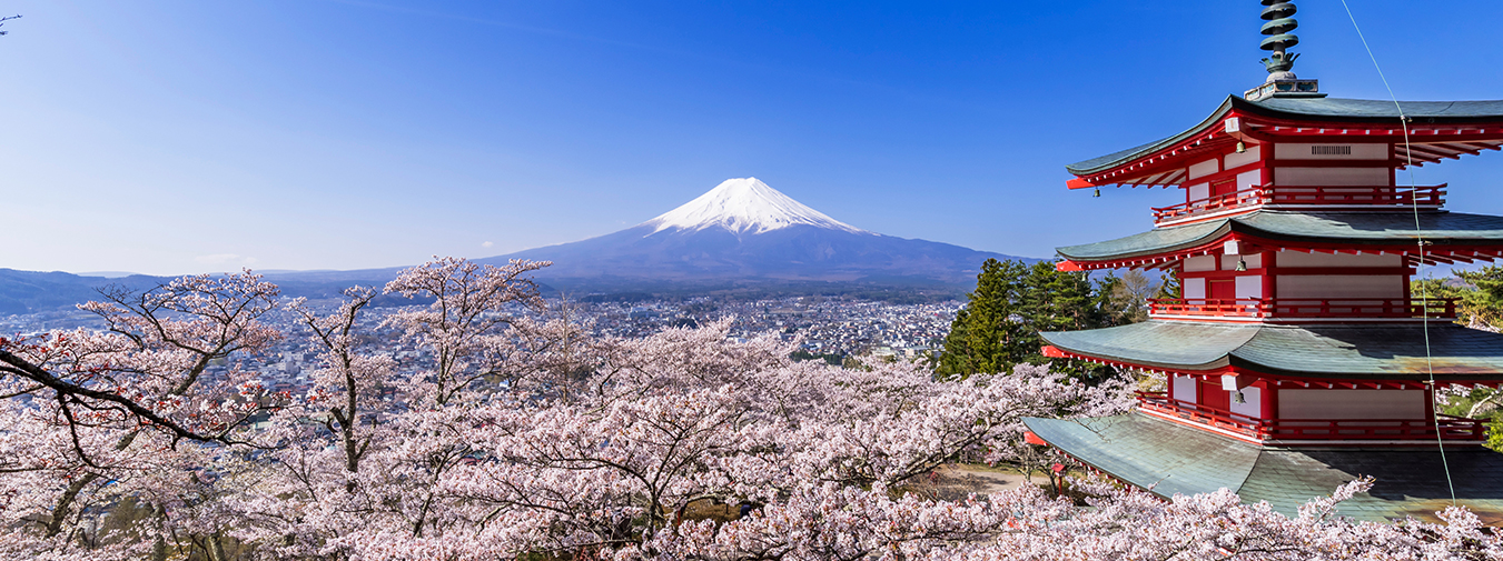 はじめての方へ