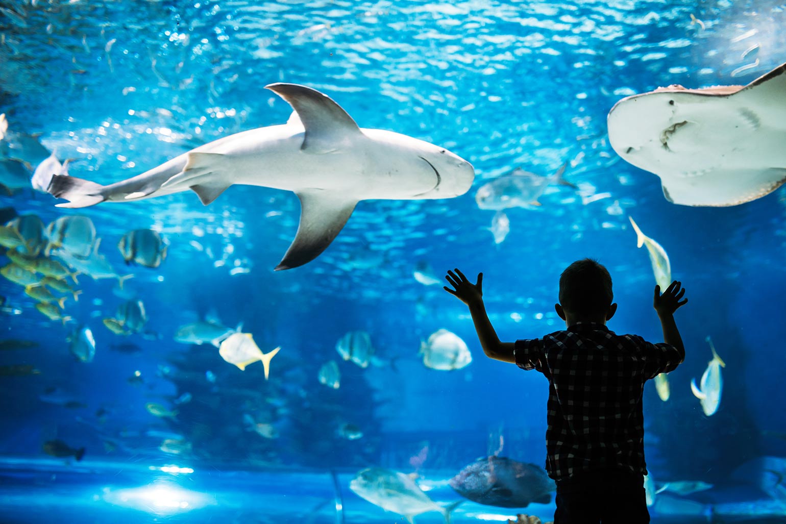 水族館